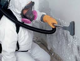 Environmental Consulting for Mold Prevention in Huntertown, IN